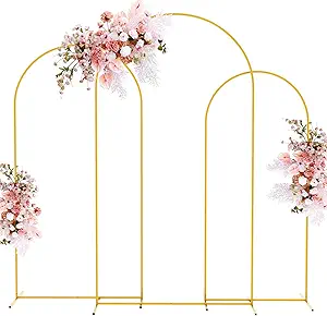 Basic Backdrop Setup